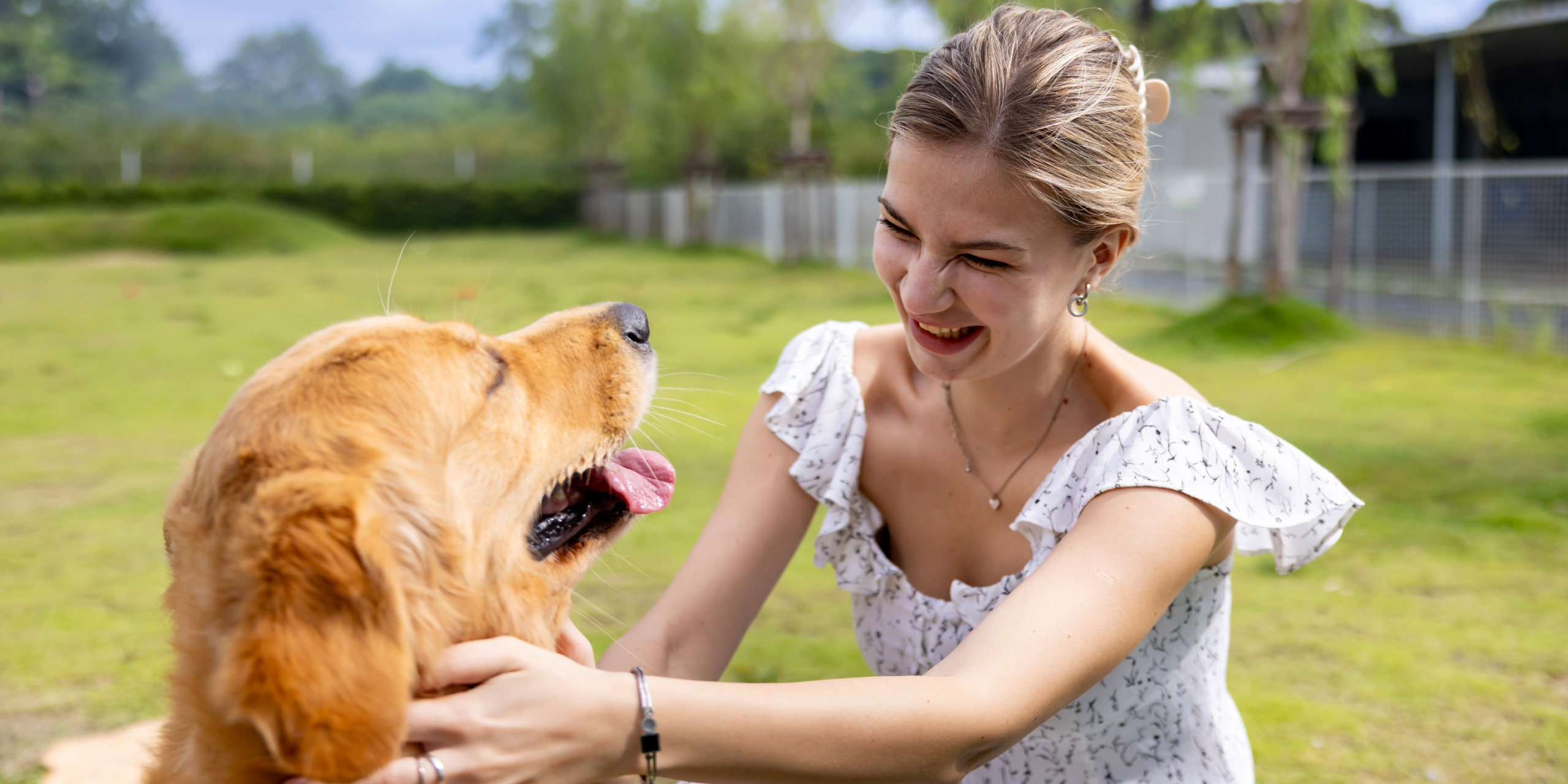 How to Start a Pet Daycare Business