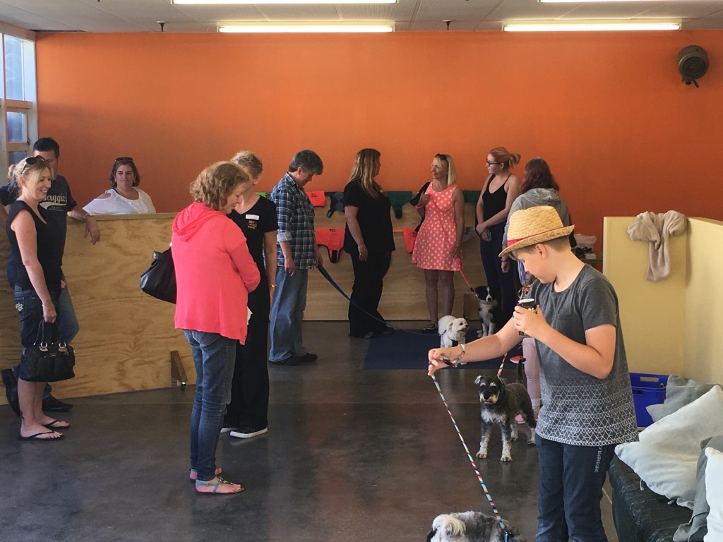 From Chaos to Coffee Carts: Pt3